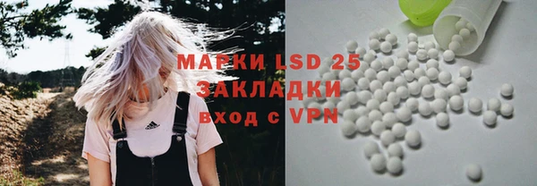 прущий лед Бородино
