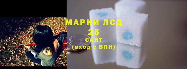 прущий лед Бородино