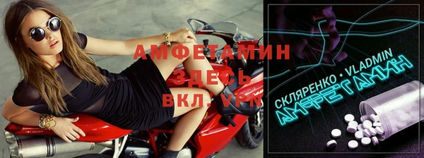 прущий лед Бородино