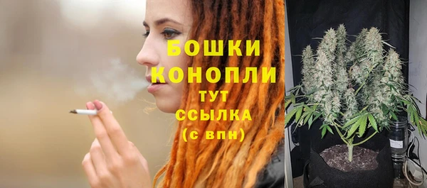 прущий лед Бородино