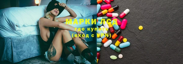 прущий лед Бородино